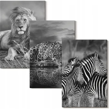 Obraz Sada obrazů pro dekoraci Galerie Divoká zvířata savany 3x 20x30 cm