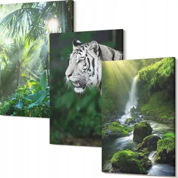 Obraz Galerie obrazů na plátně Kolekce na zeď Džungle tygr vodopád 30x20 cm