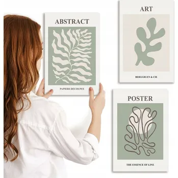 Obraz Sada obrazů na plátně, rostlinné motivy, plakáty Matisse 3x 20x30 cm