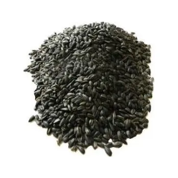 Krmivo pro ptáka Agrix Slunečnice černá 20 kg