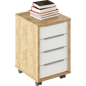 Obývací stěna Kontejner, dub artisan/bílá, RIOMA TYP 14