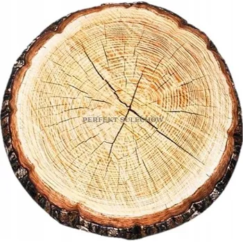 Polštář Dekorativní Polštář GABY Nature Collection, břízový váleček , 50x20 cm