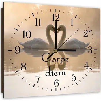 Obraz Obraz s hodinami srdce labutě carpe diem 60x60