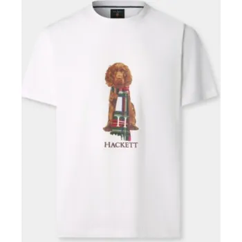Pánské tričko TRIČKO HACKETT LONDON HERITAGE HARRY TEE OFF WHITE
