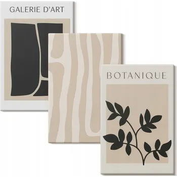 Obraz Sada nástěnných dekorací Abstraktní rostlinné tvary 3x 20x30 cm