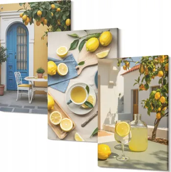 Obraz Triptych do Moderního Interiéru Citrony limonáda Modré Dveře 30x20 cm