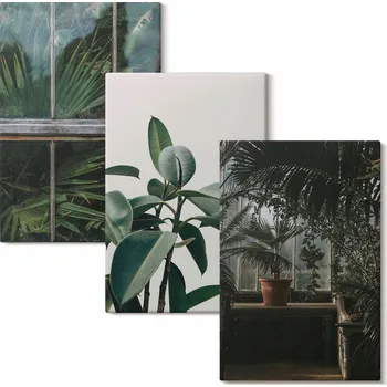 Obraz Sada obrazů na plátně Set Zelené listy v okně rostliny 3x 20x30 cm