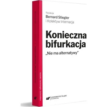 Konieczna bifurkacja. "Nie ma alternatywy" - Michał Krzykawski