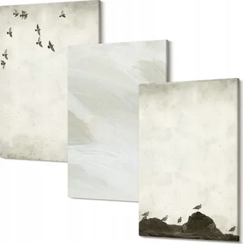 Obraz Dekorativní Triptych do Pokoje Ptáci skály stopy štětce dekorace 30x20 cm
