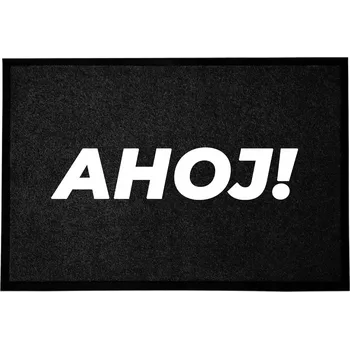 Rohožka Hotová rohožka z plastu, PVC 60 x 40 cm