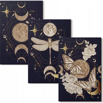 Obraz Sada obrazů na plátně Motivy přírody měsíc květiny 3x 40x60 cm