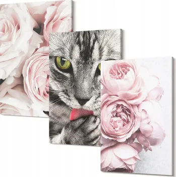 Obraz Sada uměleckých pláten Obraz Na Plátně Kočka v růžových květinách 30x20 cm
