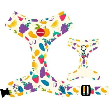 Obojek pro psa Reedog FRUIT - S