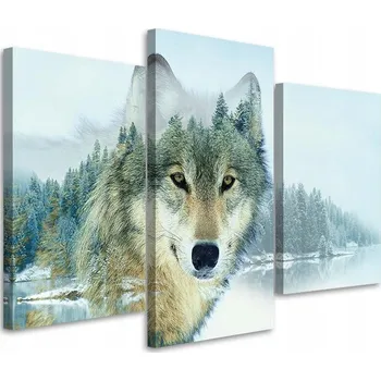 Obraz OBRAZ TRYPTYCH Zvířata Příroda Vlk Hory 60x40