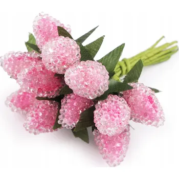 Obraz Ovoce s námrazou na drátku