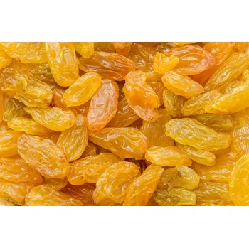 Sušené ovoce Rozinky Golden Jumbo 5 kg LES FRUITS DU PARADIS