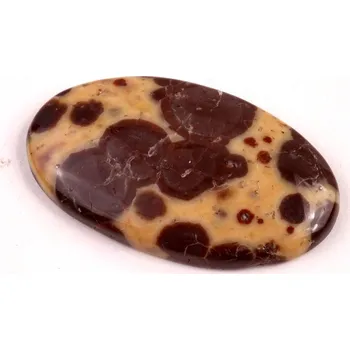 Přírodní kámen Kabošon Asteroid Jaspis č.6278 (35x20x5mm)