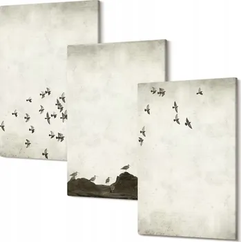 Obraz Sada obrazů na zeď Ptáci v letu, minimalistický styl, 30x20 cm