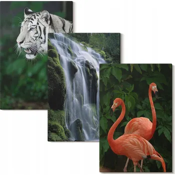 Obraz Vícedílná Sada Obrazů Tygr vodopád plameňáci příroda 3x 20x30 cm