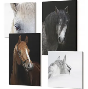 Obraz Sada obrazů na plátně na zeď pro domácnost - Portréty koní v různých odstínech
