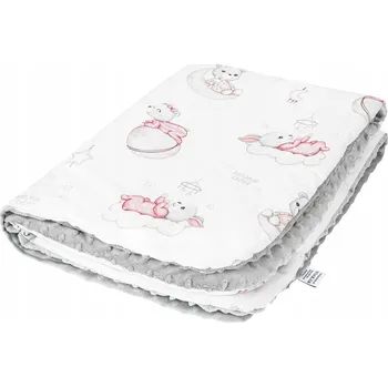 Dětská deka Dětská deka do školky Venus bavlna - minky 100x150 cm