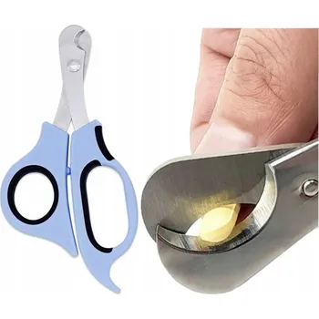 Obraz Organizér na léky 3 přihrádky na den