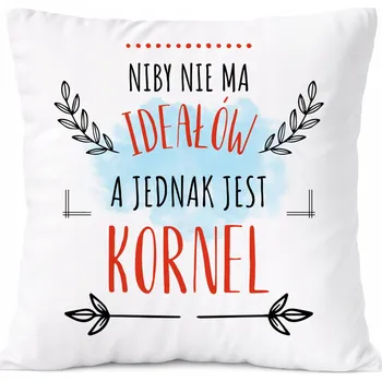 Obraz Polštář Aniela jako Dárek s potiskem bílý PoliDraw