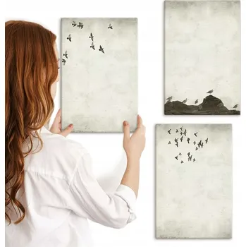 Obraz Sada nástěnných dekorací, sada obrazů Letící ptáci minimalismus 3x 20x30 cm
