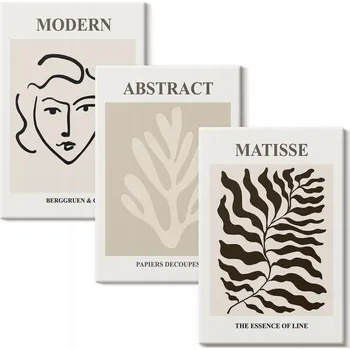 Obraz Vícedílný Obraz Na Plátně Obličej listy umění Matisse 3x 20x30 cm