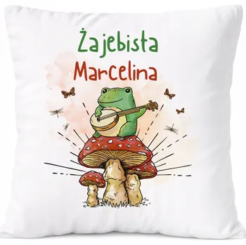 Polštář Polštář pro Franka jako Dárek s potiskem bílý PoliDraw