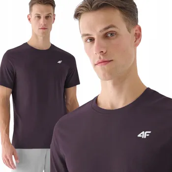 Pánská móda Pánské tričko s kulatý výstřihem 4F, velikost S