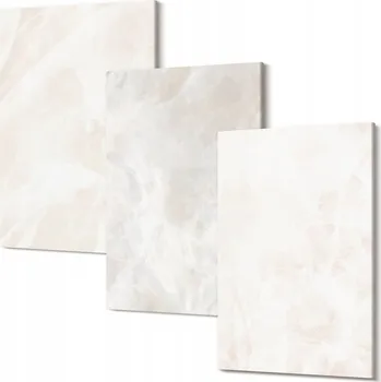 Obraz Sada obrazů na plátně Struktura elegantního mramoru 30x20 cm