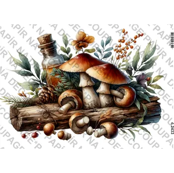 Umělecký papír Rýžový a soft papír na decoupage - Houby - KB2433 Materiál: Soft, Rozměr: A4