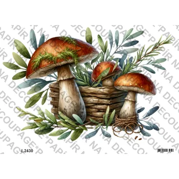 Umělecký papír Rýžový a soft papír na decoupage - Houby - KB2430 Materiál: Soft, Rozměr: A4