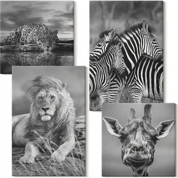Obraz Sada obrazů na plátně Divoká zvířata Lev Jaguar Žirafa Zebry 4 kusy