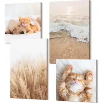 Obraz Dekorativní Sada Obrazů na Plátně Set Roztomilá zvířátka kočky psi pláž