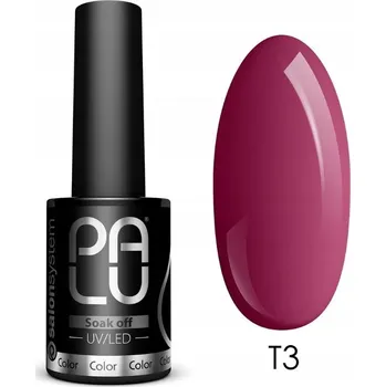 Lak na nehty Hybridní lak barevný lak PALU 11 ml