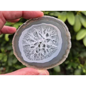 Sběratelství Achátový plátek menší Brazílie šedý 38g