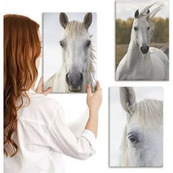 Obraz Dekorativní Sada Obrazů na Plátně Set Bílí koně v přírodě 3x 20x30 cm
