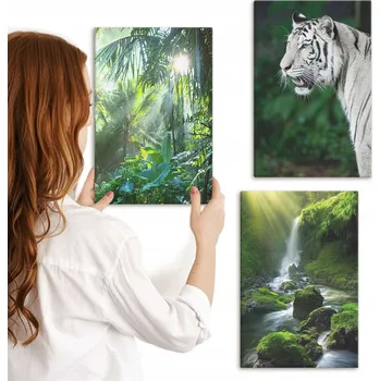 Obraz Sada nástěnných dekorací - obrazy Džungle, tygr, vodopád, 3x 20x30 cm