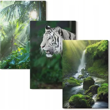 Obraz Sada obrazů na zeď Džungle: tygr, vodopád, 3x 20x30 cm