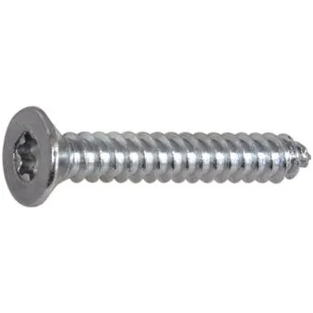 Vrut DIN7982C 2.9x6.5 Torx10 pozink zápustná hlava vrut do plechu ~ISO14586 (2000 ks)