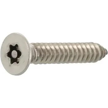 Vrut Pojistný vrut zápustná hlava 6.3x16 TX30 PIN, nerez A2 (100 ks)