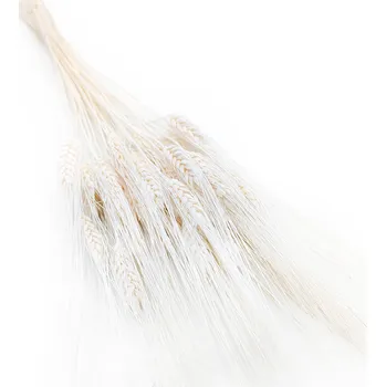 mech-mech.cz Tritikále (Titicosecale) - extra Bělené