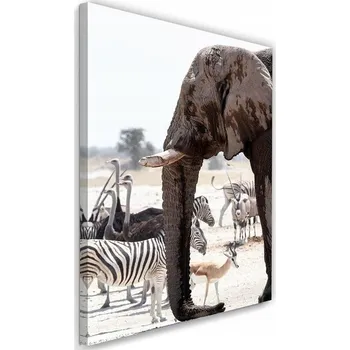 Obraz OBRAZ NA PLÁTNĚ Afrika zvířata příroda 40x60