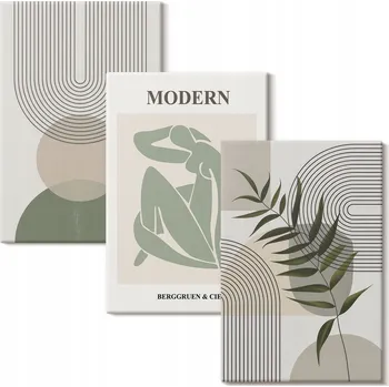 Obraz Kolekce obrazů na plátně Sada Stylové rostlinné grafiky 3x 40x60 cm