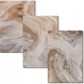 Obraz Obraz Na Plátně Sada Mramorové abstraktní textury 3x 40x60 cm