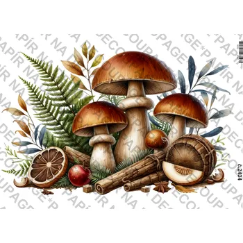 Výtvarný papír Rýžový a soft papír na decoupage - Houby - KB2434 Materiál: Rýžový papír, Rozměr: A4