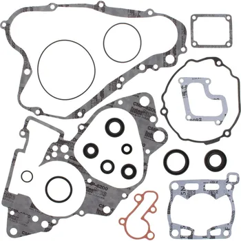 Těsnění motoru Sada těsnění motoru kompletní vč. gufer motoru WINDEROSA CGKOS 811505