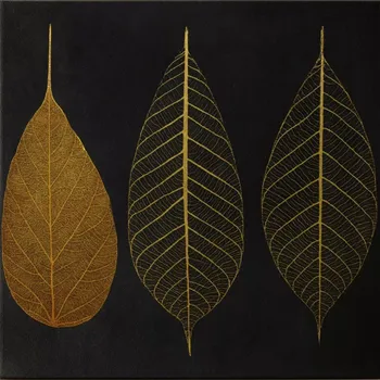 Obraz Majestic, Dekorativní plátno, 45 x 45 cm